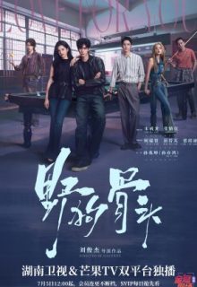 Love for You (2026)